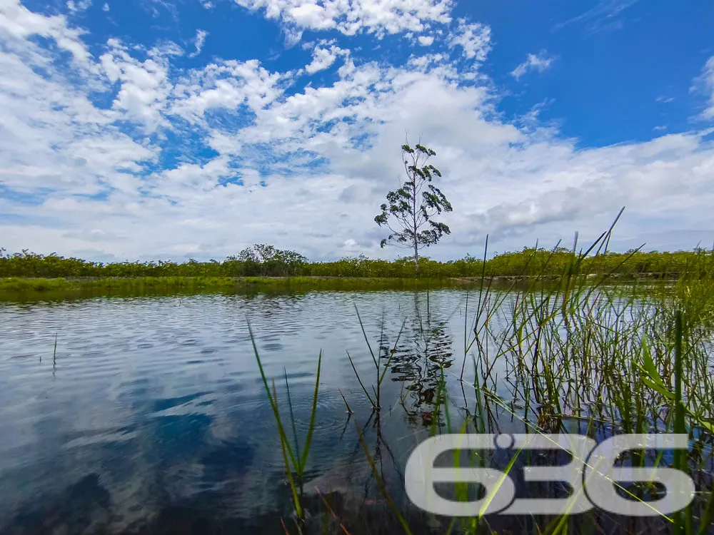 Terreno à Venda em Balneário Barra do Sul – SC
Exc