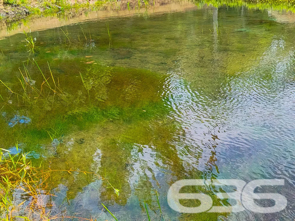 Terreno à Venda em Balneário Barra do Sul – SC
Exc