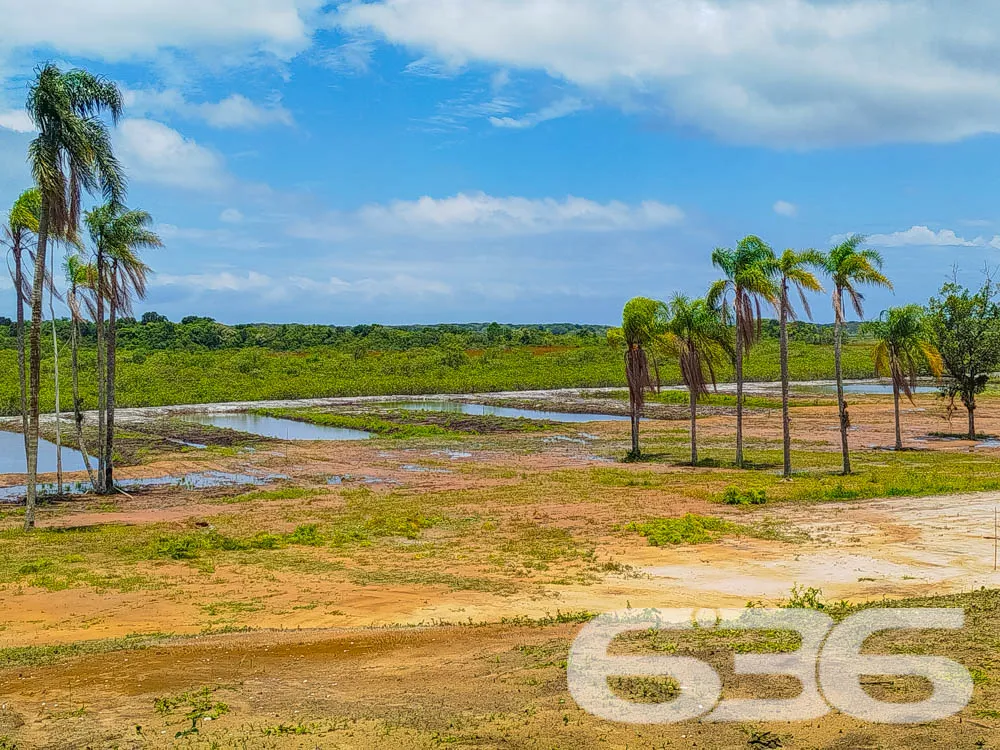 Terreno à Venda em Balneário Barra do Sul – SC
Exc