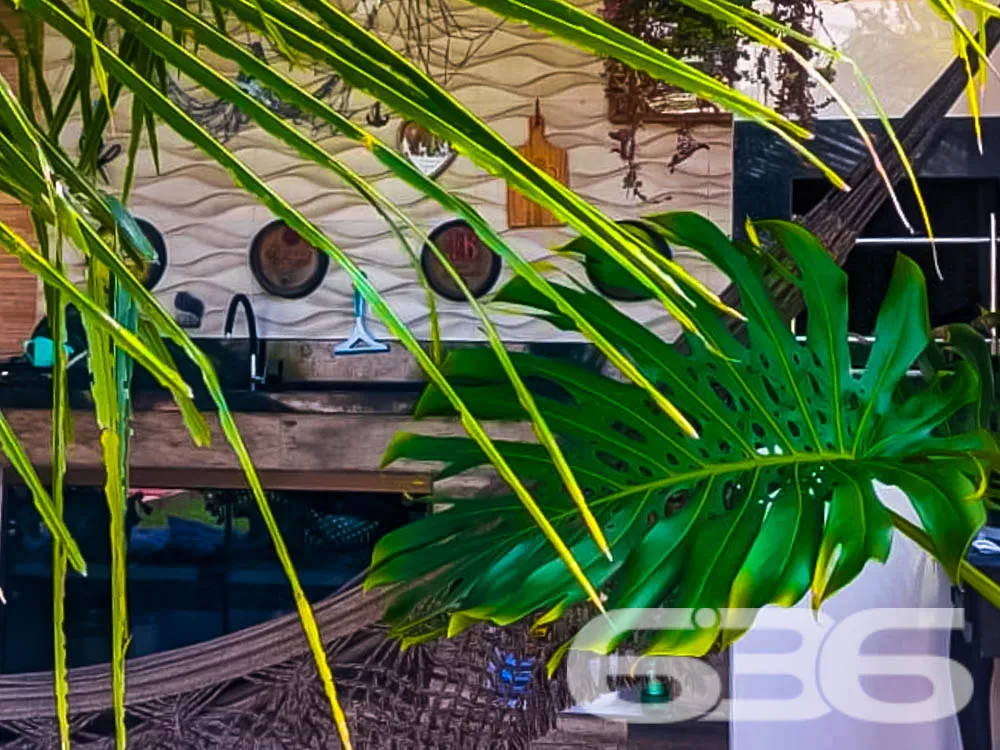 Descubra Seu Novo Lar no Paraíso de São Francisco