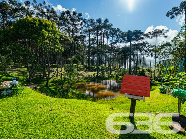 Descubra seu próprio refúgio em Campo Alegre, SC! 