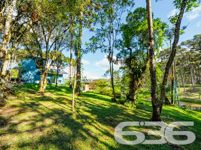 Descubra seu próprio refúgio em Campo Alegre, SC! 