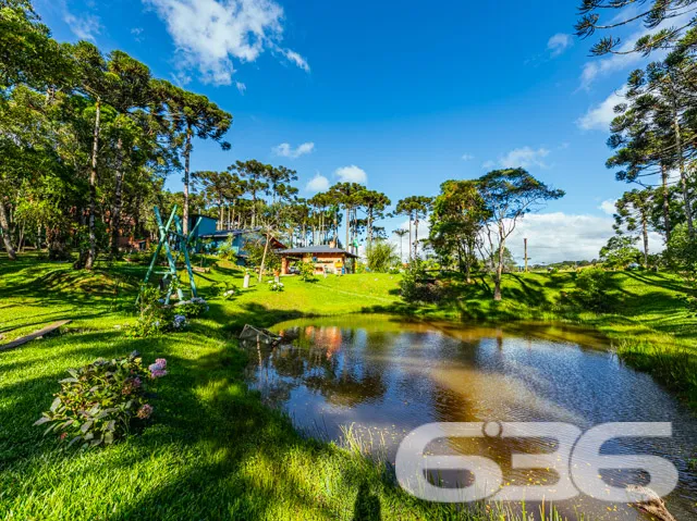 Descubra seu próprio refúgio em Campo Alegre, SC! 
