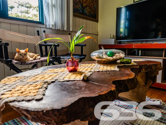 Descubra seu próprio refúgio em Campo Alegre, SC! 