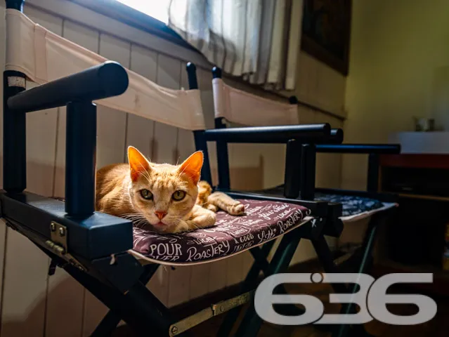 Descubra seu próprio refúgio em Campo Alegre, SC! 