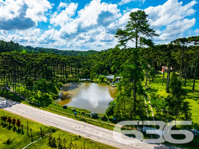 Descubra seu próprio refúgio em Campo Alegre, SC! 