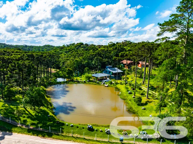 Descubra seu próprio refúgio em Campo Alegre, SC! 
