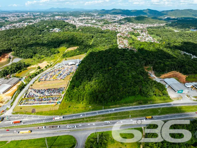 Descubra as Possibilidades Infinitas em Joinville,