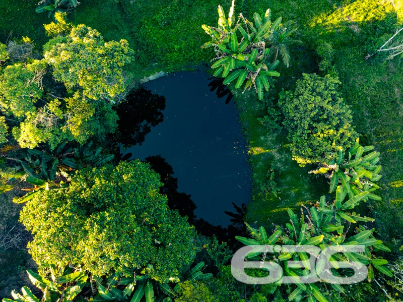 Descubra o Encanto Rústico e Moderno desta Chácara