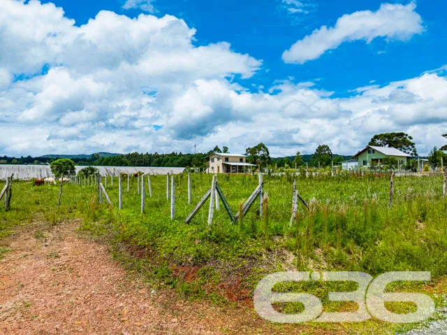Descubra seu Novo Horizonte em Campo Alegre, SC

A