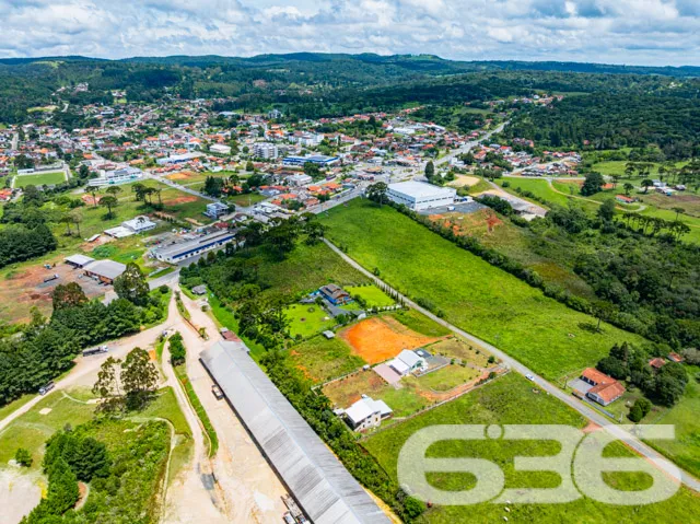 Descubra seu Novo Horizonte em Campo Alegre, SC

A