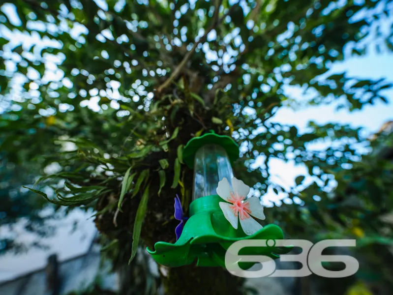 Casa à venda no bairro Costeira, Balneário Barra d