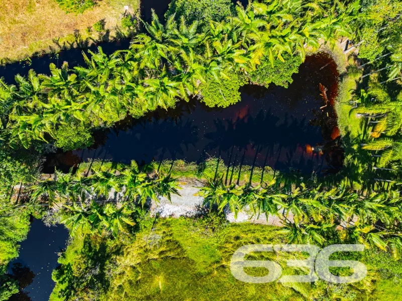 Seu refúgio em meio à natureza com quase 91 mil m²