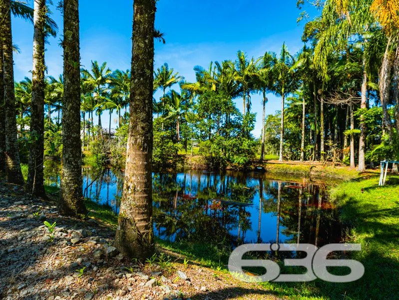 Seu refúgio em meio à natureza com quase 91 mil m²