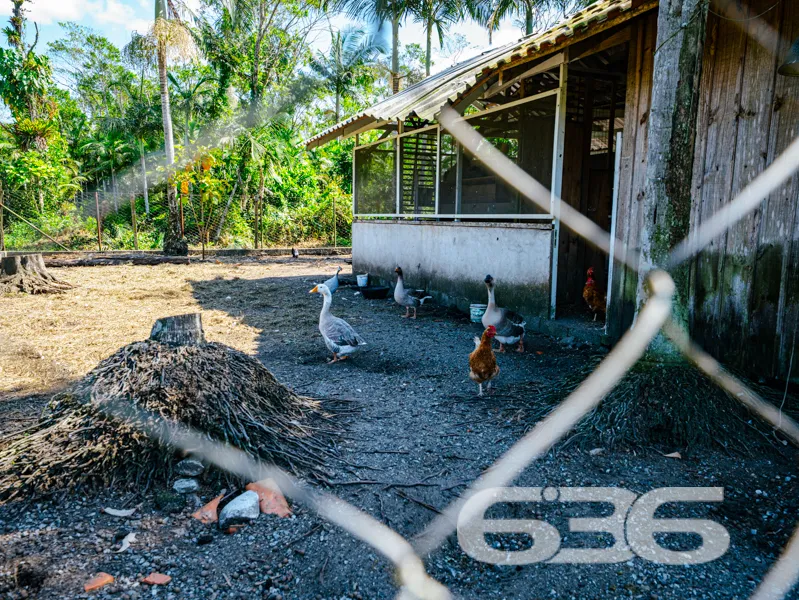 Seu refúgio em meio à natureza com quase 91 mil m²