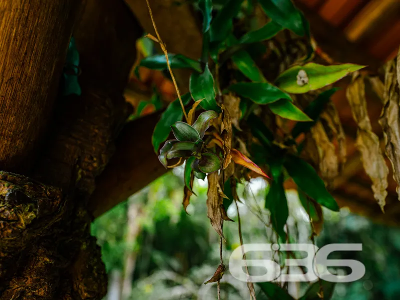 Descubra o refugio perfeito à beira-mar em São Fra