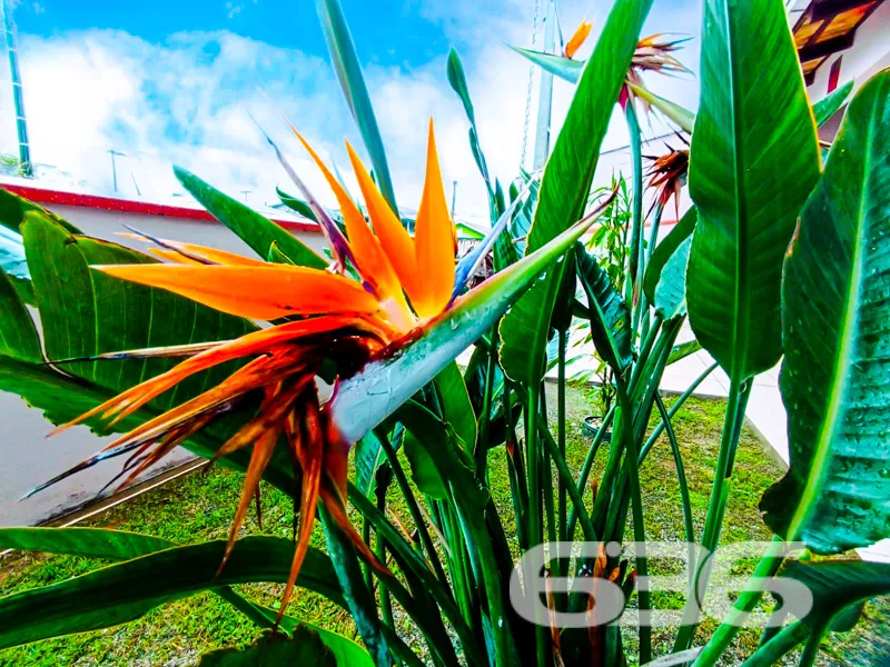 SOBRADO À VENDA EM UBATUBA, SÃO FRANCISCO DO SUL –