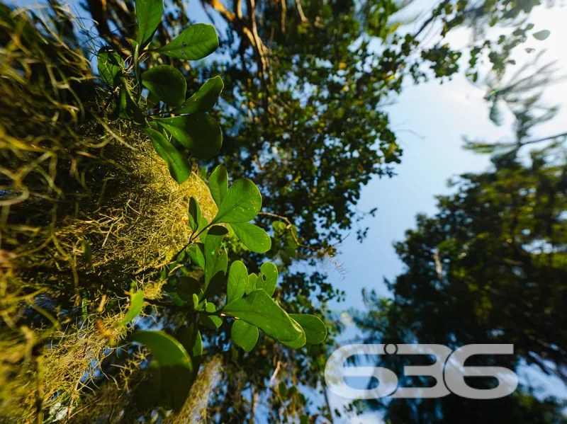 Chácara à venda no bairro Pinheiros – Balneário Ba