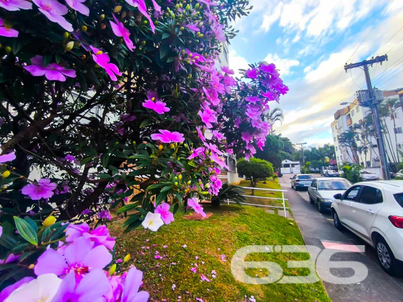  Apartamento com espaço, aconchego e praticidade n