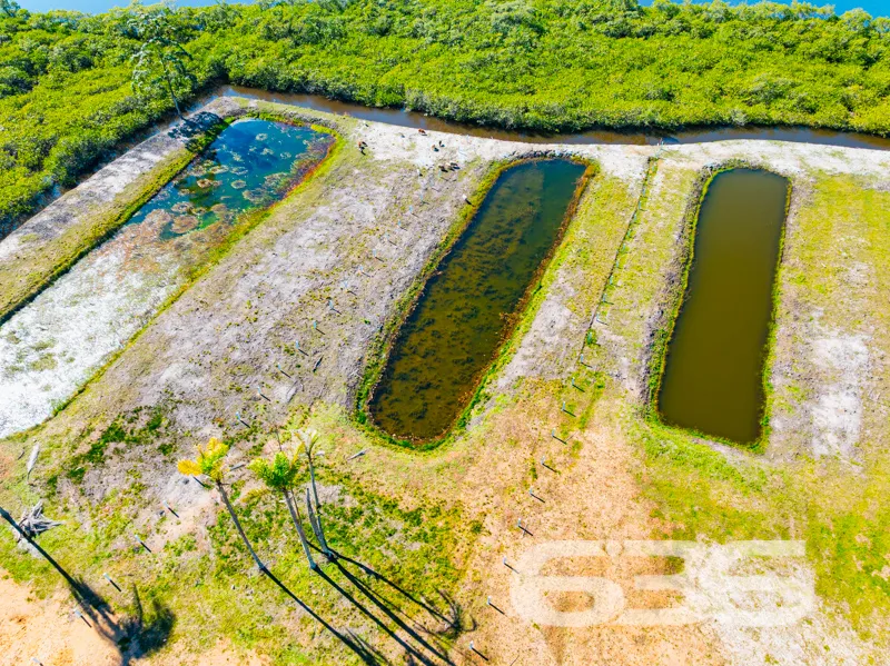 Transforme seu sonho em realidade com este excepci