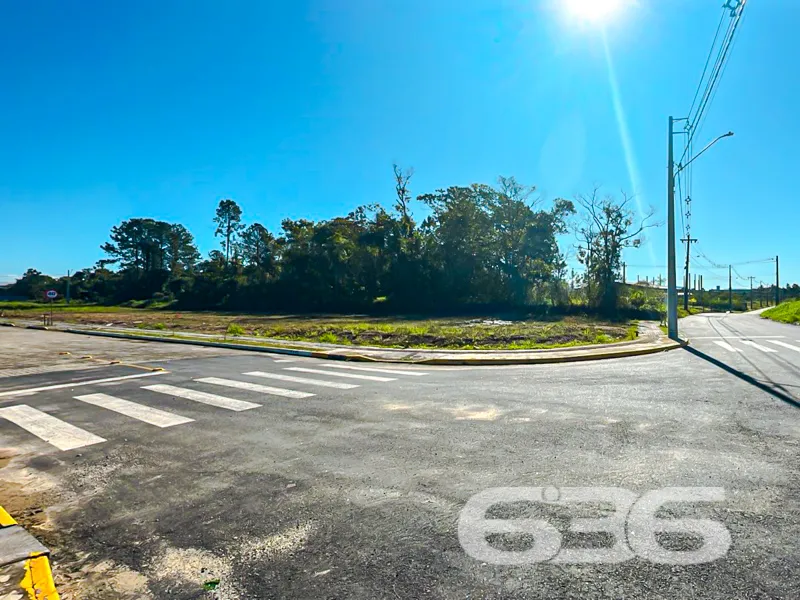 Descubra a Oportunidade Perfeita em Araquari! Terr