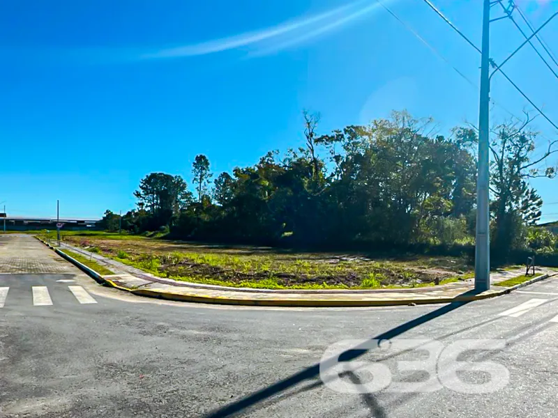 Descubra a Oportunidade Perfeita em Araquari! Terr