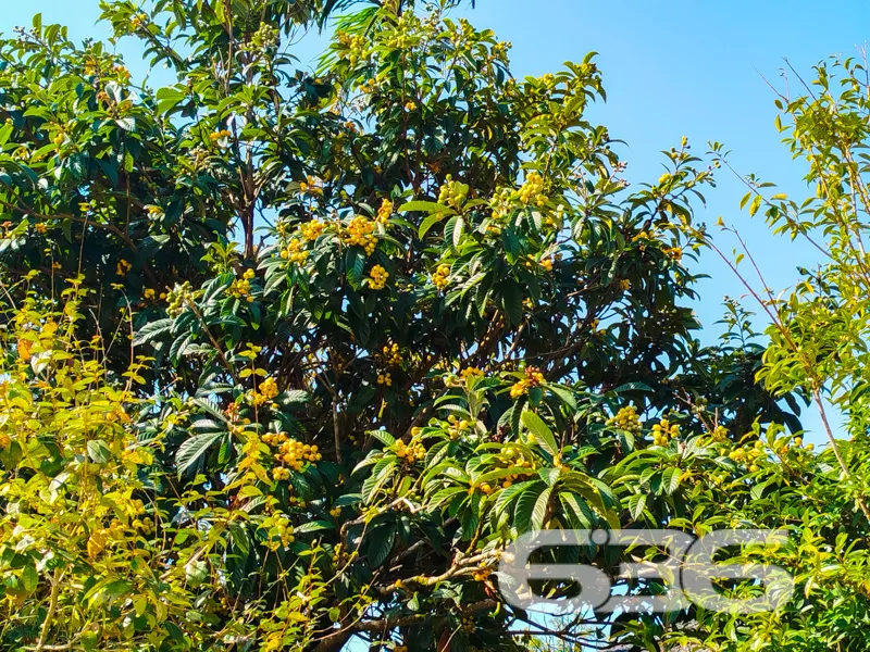 Descubra o potencial deste imóvel singular, locali