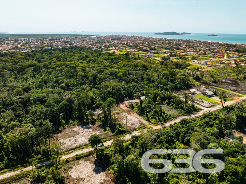 Encontre o seu pedaço de paraíso no coração de San