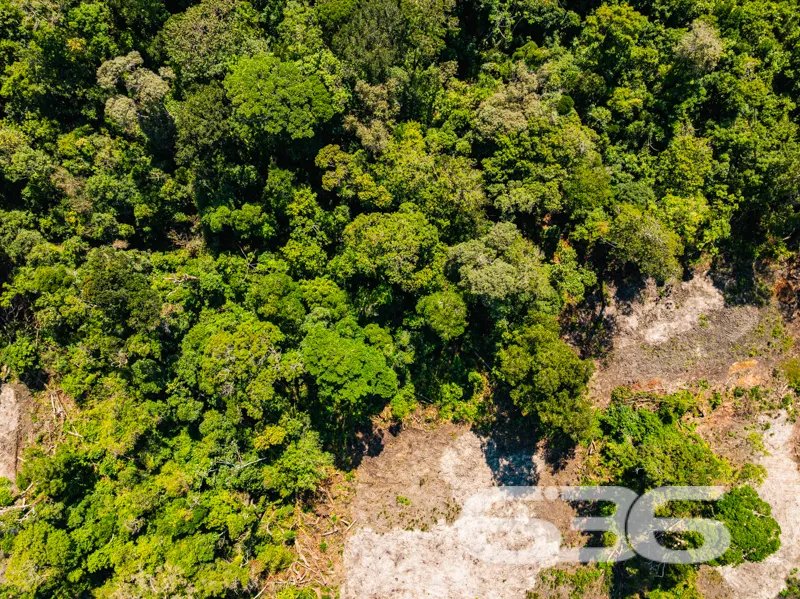 Encontre o seu pedaço de paraíso no coração de San