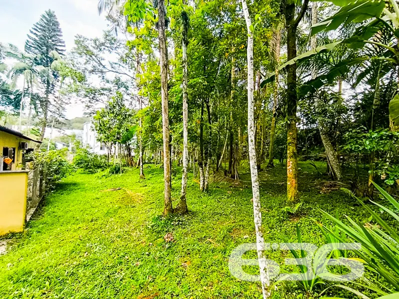 Se você procura terreno à venda no bairro Atirador