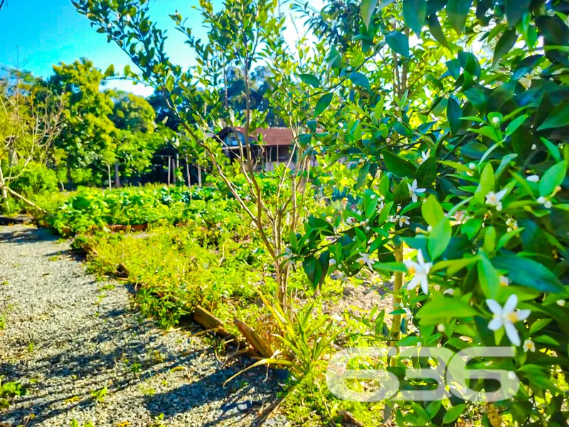 Descubra o Refúgio dos Sonhos: Chácara Exclusiva e