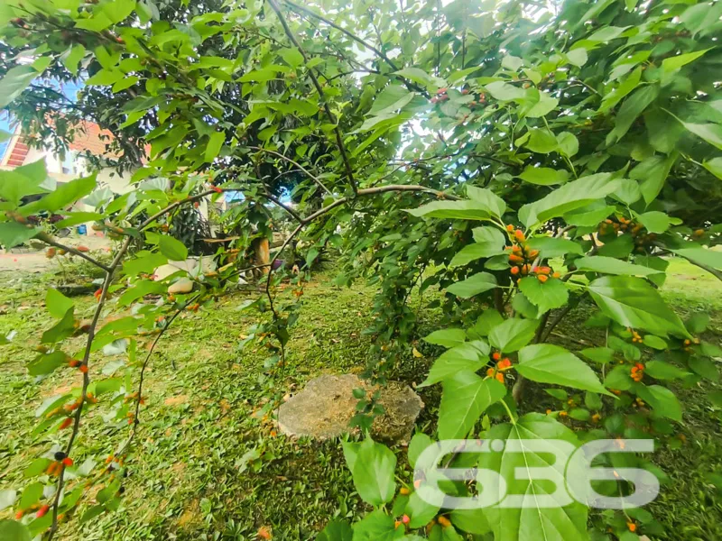 Apresentamos uma oportunidade Ășnica no mercado imo