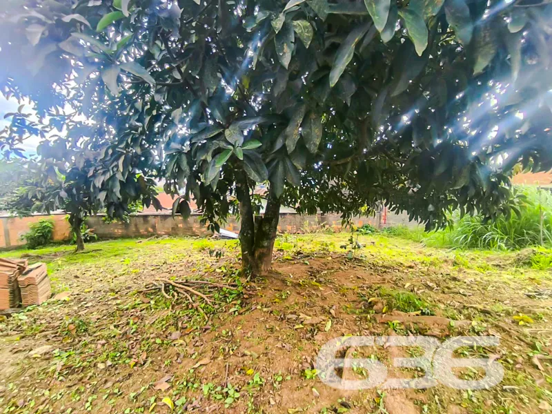 Apresentamos uma oportunidade Ășnica no mercado imo