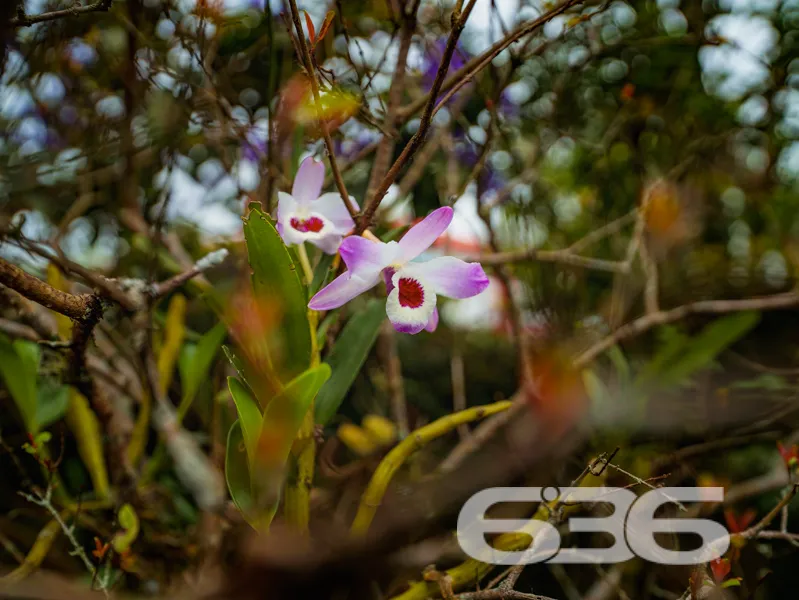 Excelente Oportunidade de Investimento no Bairro B