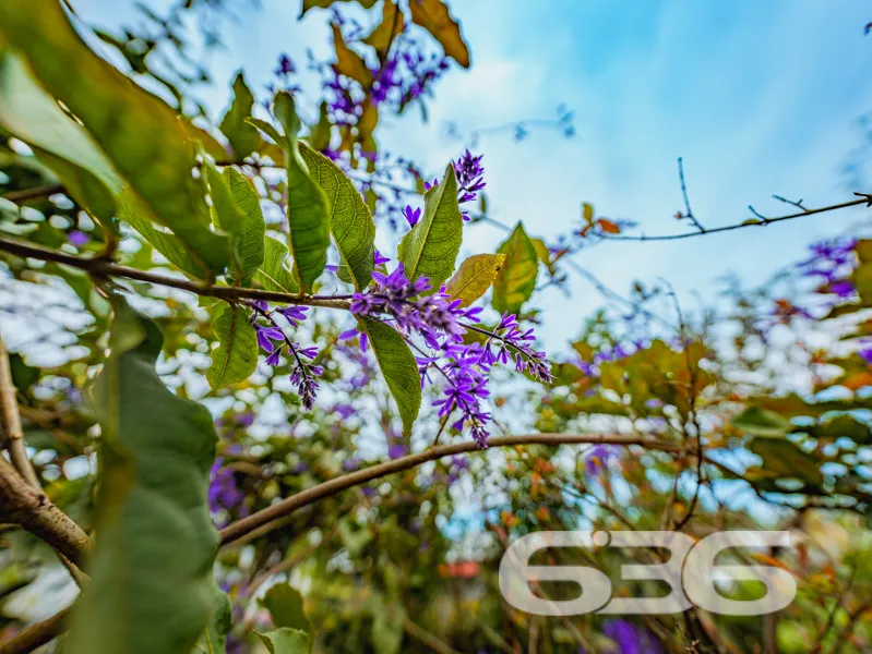 Excelente Oportunidade de Investimento no Bairro B