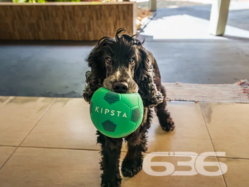 No coração de Balneário Barra do Sul, a poucos met