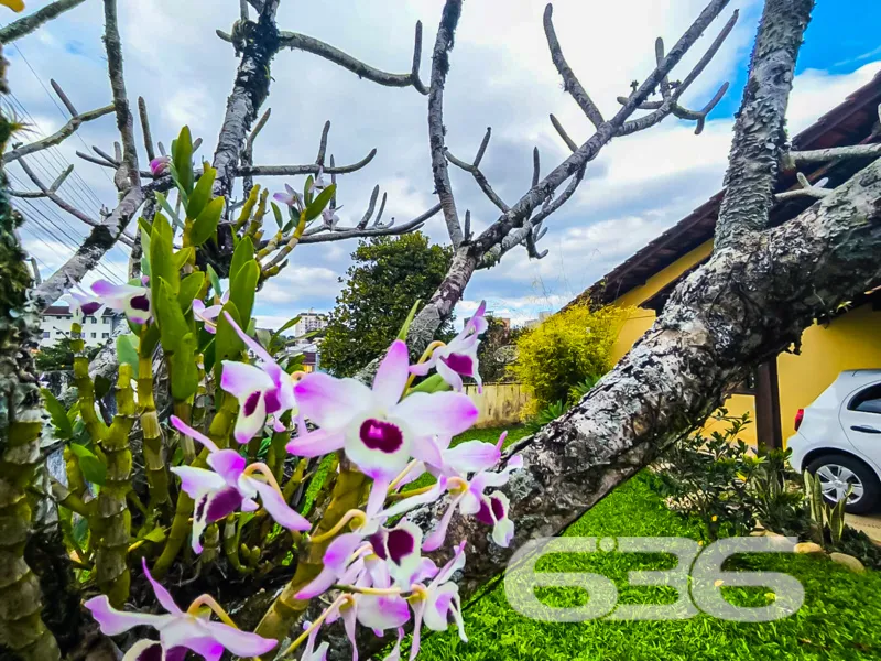 Descubra seu oåsis particular no coração do bairro