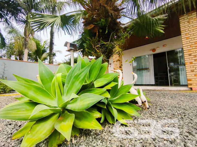 Descubra sua oportunidade de viver em harmonia em