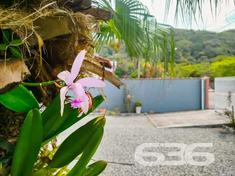 Descubra sua oportunidade de viver em harmonia em