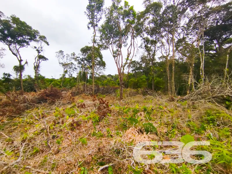 Terreno à venda em São Francisco do Sul - Um pedaç