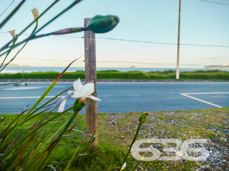 Terreno Exclusivo em São Francisco do Sul - A Opor