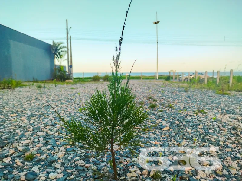 Terreno Exclusivo em São Francisco do Sul - A Opor