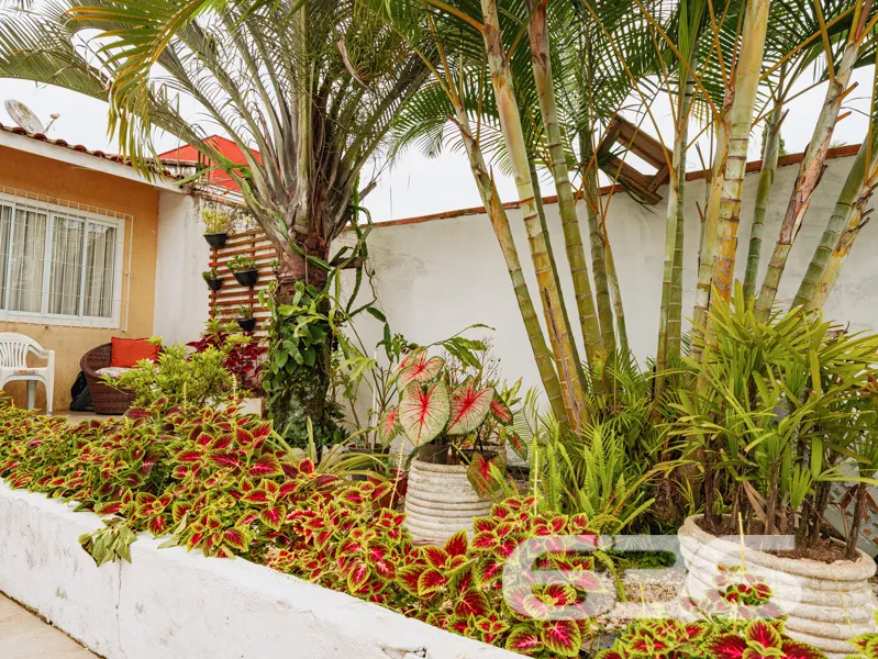 Apresentamos a Oportunidade dos Seus Sonhos no Bom