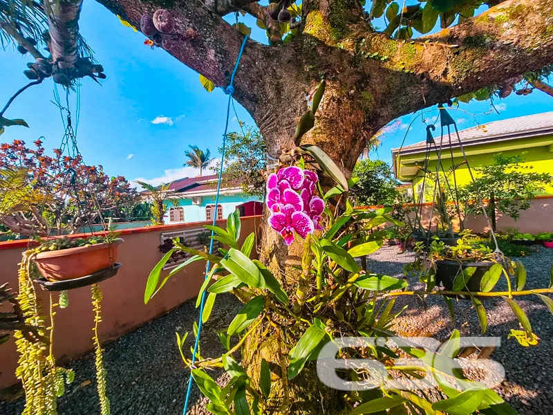 Casa à venda no bairro João Costa, Joinville/SC, e