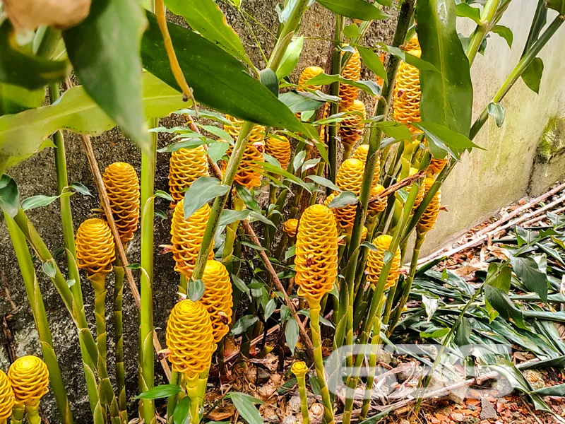 đĄ **Viva no Estilo e Conforto que VocĂȘ Sempre Son