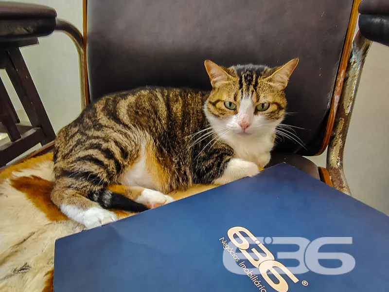 đĄ **Viva no Estilo e Conforto que VocĂȘ Sempre Son