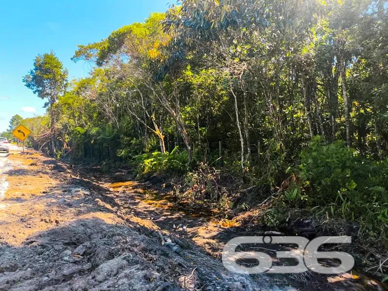 Terreno Comercial à Venda no bairro Pinheiros em B