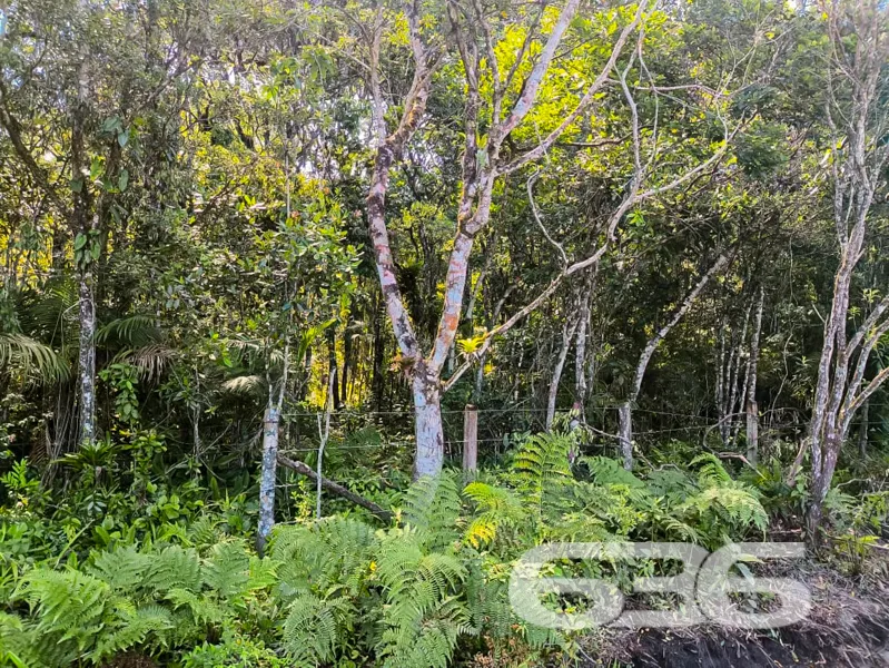 Terreno Comercial à Venda no bairro Pinheiros em B