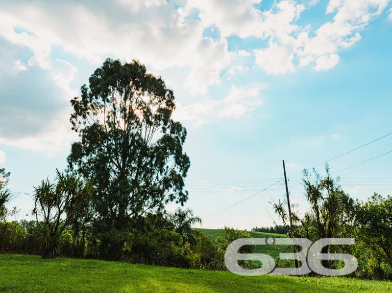 Chácara à venda no Avenquinha em Campo Alegre: Um 