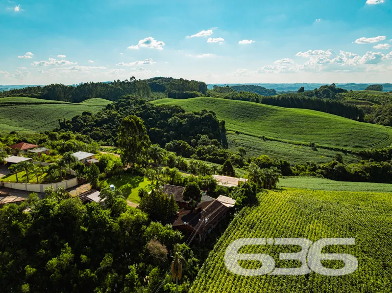 Chácara à venda no Avenquinha em Campo Alegre: Um 